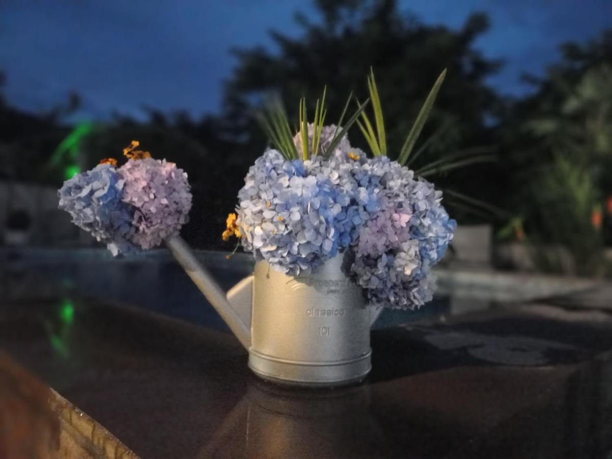 Guest House Botanical Paradise ชูวาเนคอนต์สกี ภายนอก รูปภาพ